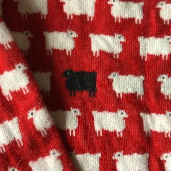 Rowing Blazers Warm & Wonderful Red 100% Wool Diana Fitted Sheep Sweater XL - Picture 7 of 13